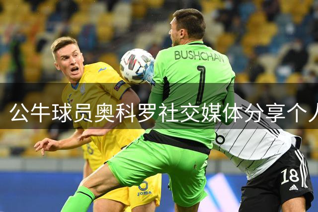 公牛球员奥科罗社交媒体分享个人感悟