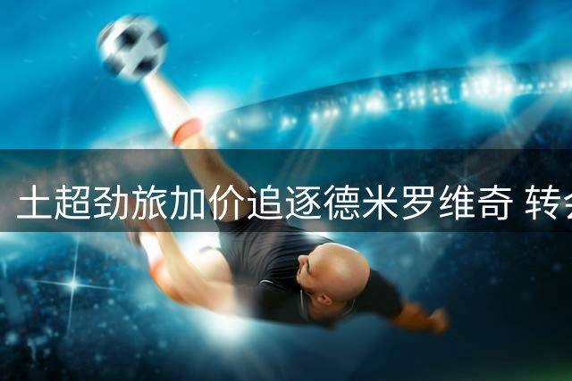 土超劲旅加价追逐德米罗维奇 转会谈判取得突破性进展